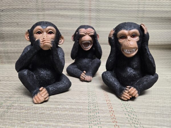 Monos sabios