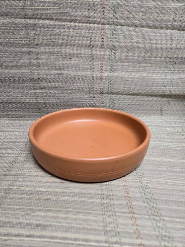 plato ceramica 2